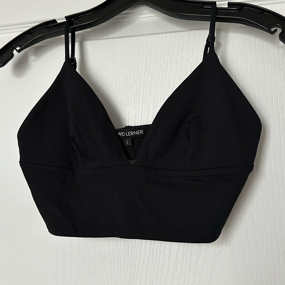 David Lerner Crop Top